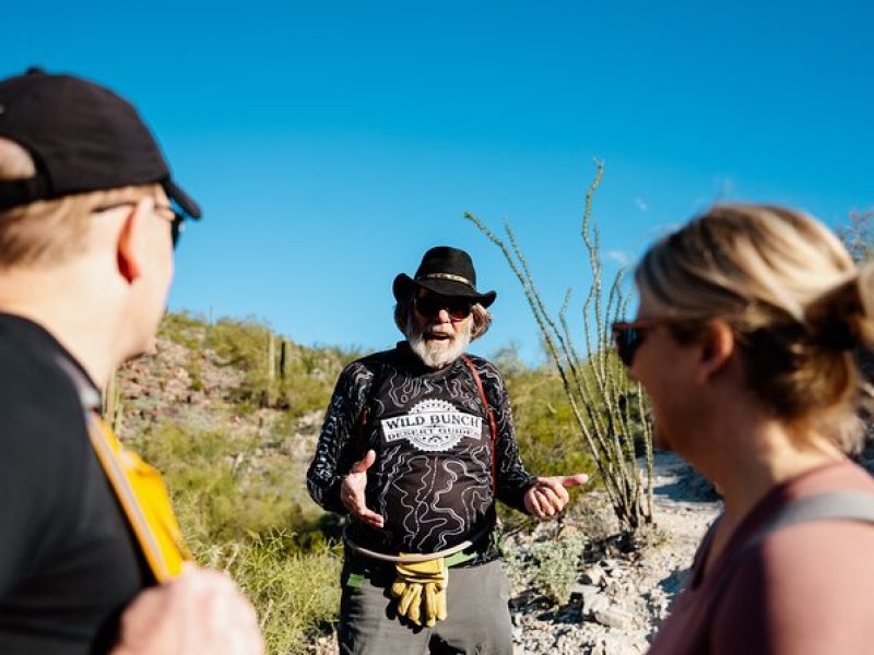 Sonoran Desert Solo Half Day Hike at Customizable Pace