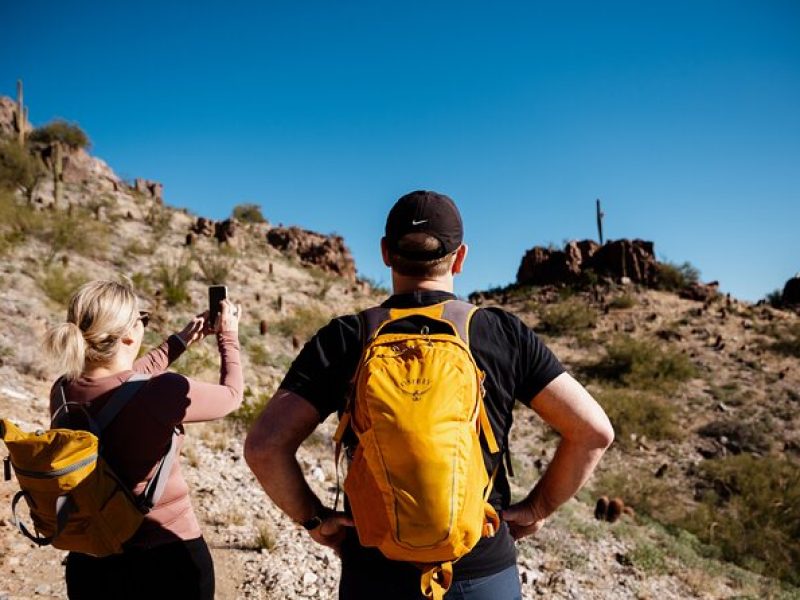 Sonoran Desert 1.5 Hour Private Hike for Families and Groups