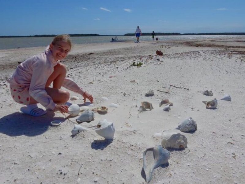 Full Day Everglades Combo Motorboat Eco and Kayak Tour