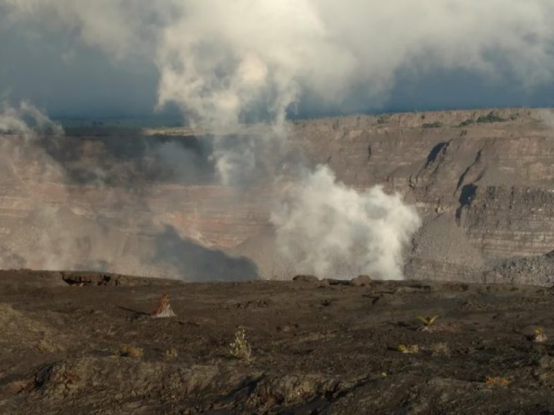 Volcanoes National Park and Hilo Private Tour