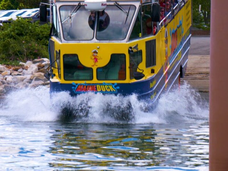 Duck Tour Discover Portland from the Land and Sea