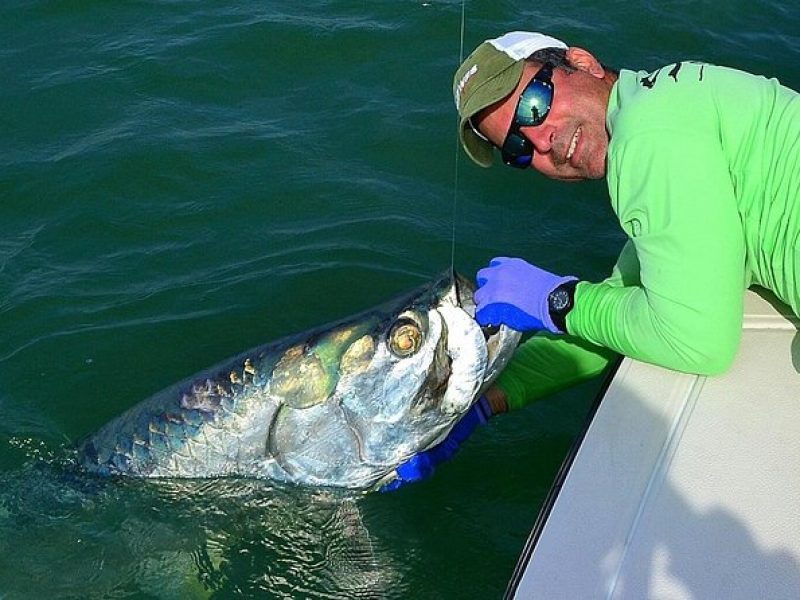 Biscayne Bay Inshore Flats Fishing