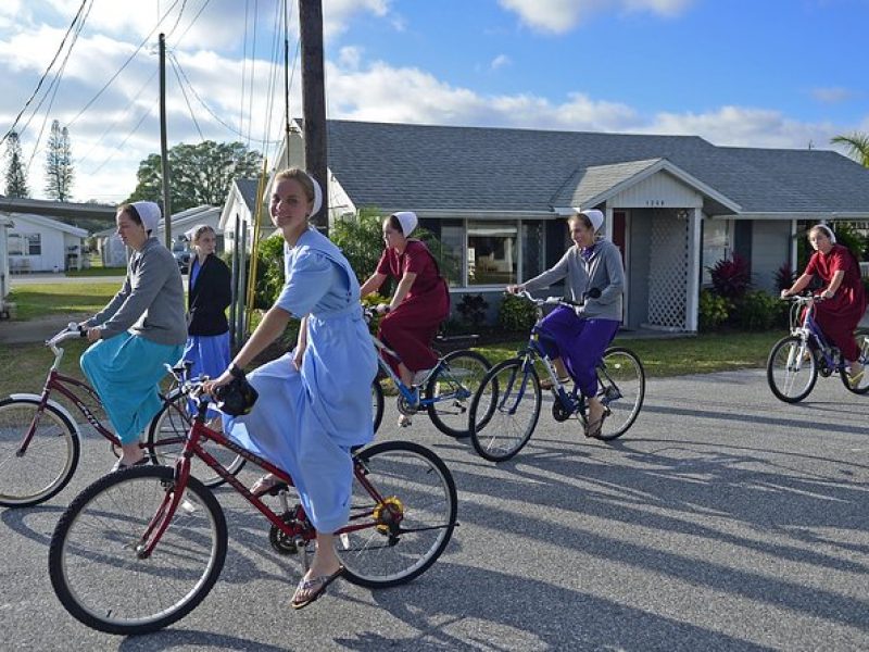 Amish Experience: Bridges to Understanding