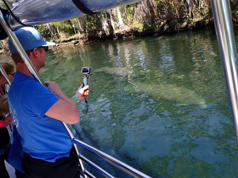 Crystal River Manatee Viewing Cruise