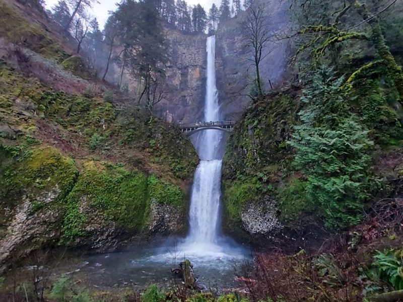 Private Columbia River Gorge Half-Day Tour