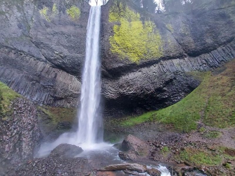 Afternoon Tour in Columbia Gorge Waterfall with Free Wine Tasting