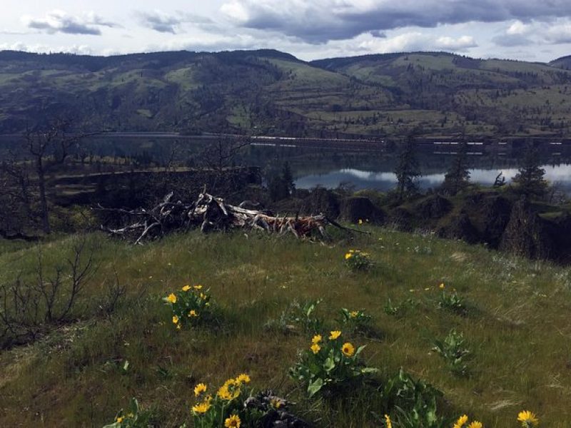 Full-day Columbia Gorge Hiking