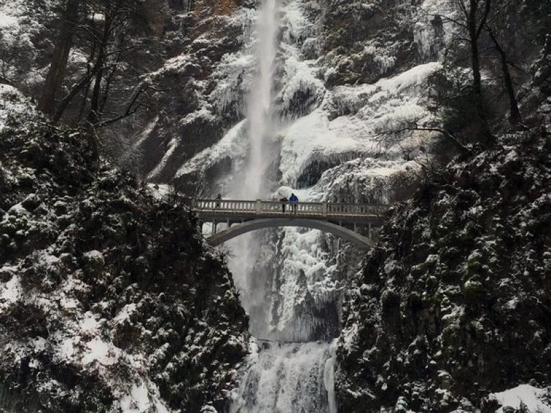 Explore Columbia River Gorge Half-Day Small-Group Tour