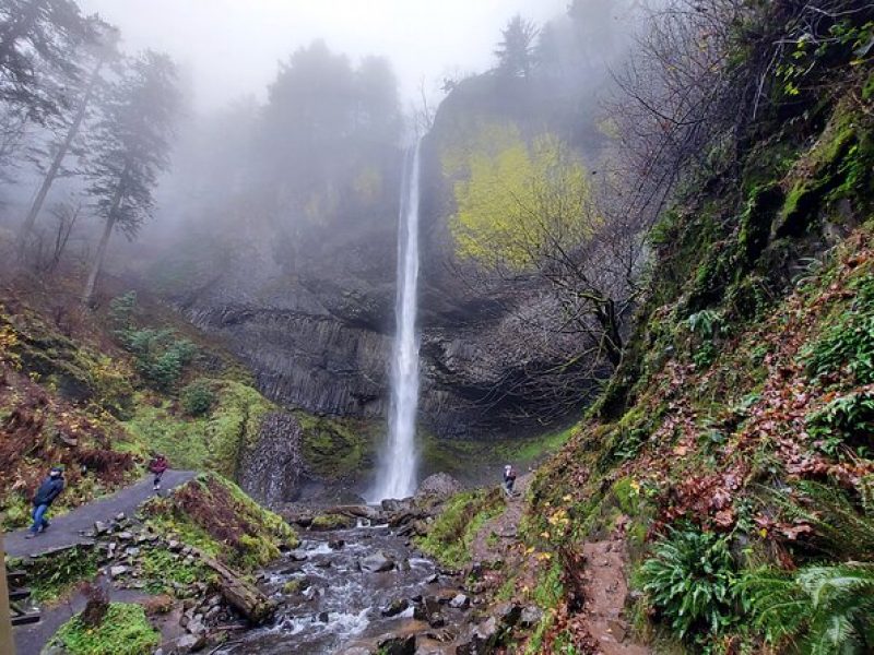 Explore Columbia River Gorge Half-Day Small-Group Hiking Tour