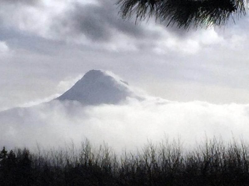 Full-Day Mt Hood Waterfall Tour with Lunch and Wine Included