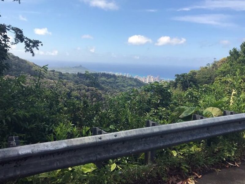 Easy Private Hike in Honolulu (Choose 1 of 2 trails) 2-4hrs