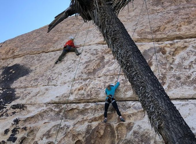 Beginner Group Rock Climbing in Joshua Tree National Park