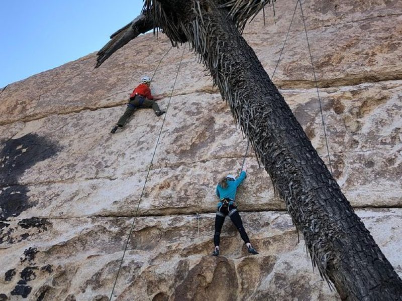 Beginner Group Rock Climbing in Joshua Tree National Park