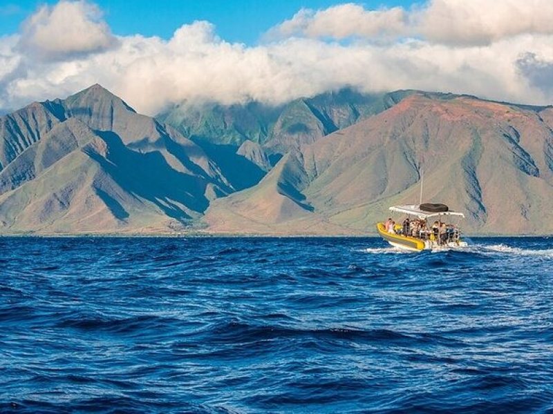 Lanai Deluxe Dolphin Adventure & 3 Snorkel Sites