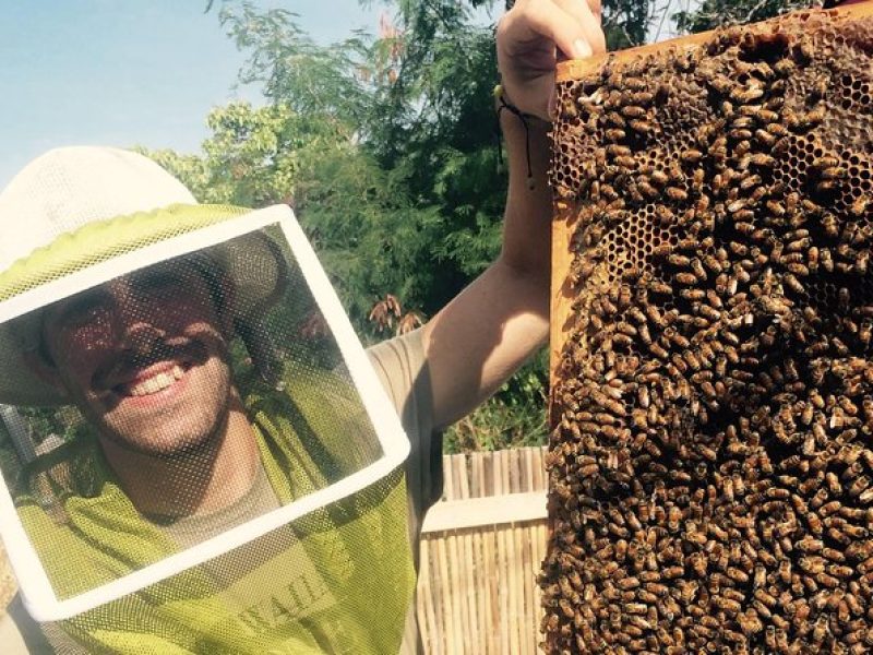 Experience Our Honey Farm And Beekeeping Tour