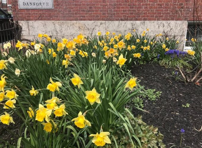 Portland: The West End History & Architecture Walk