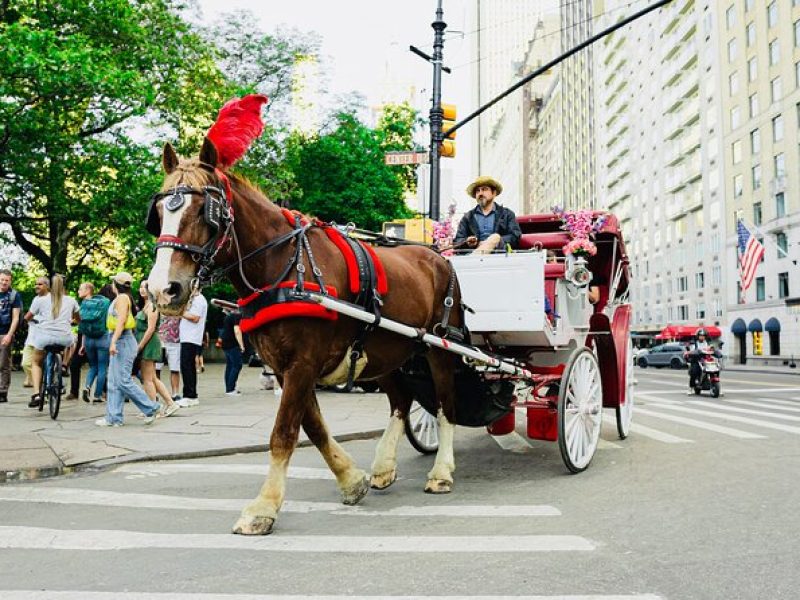 Central Park Horse and Carriage Rides