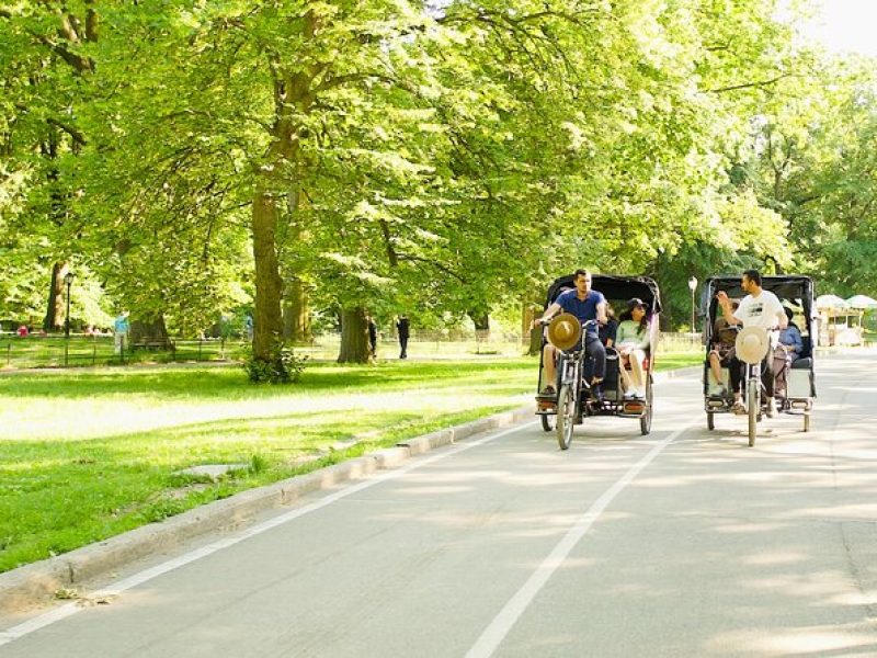 Central Park Private Pedicab Tour