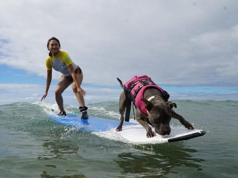 Surf with a Service Animal