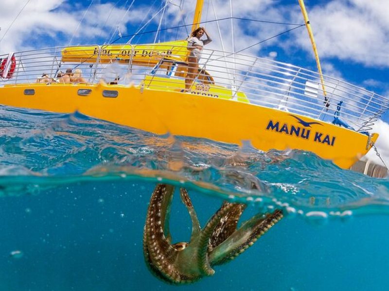 Private Swim and Sail Charter (Kewalo Harbor)