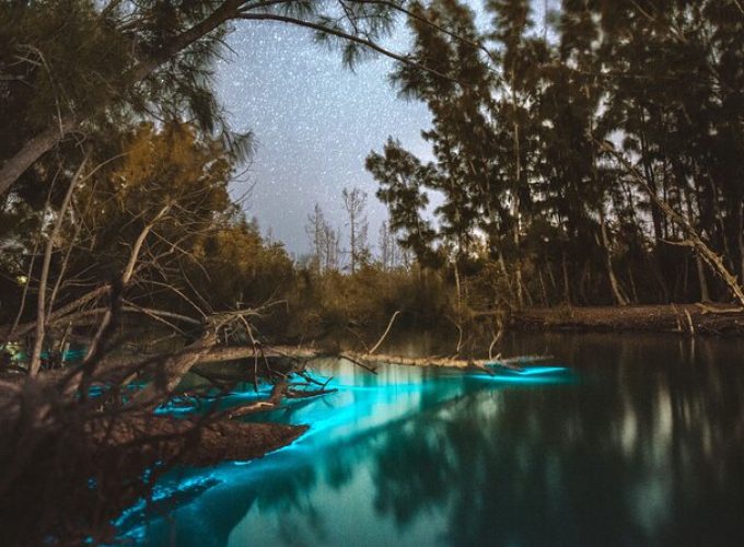 Bioluminescent Clear Kayak Tours in Titusville