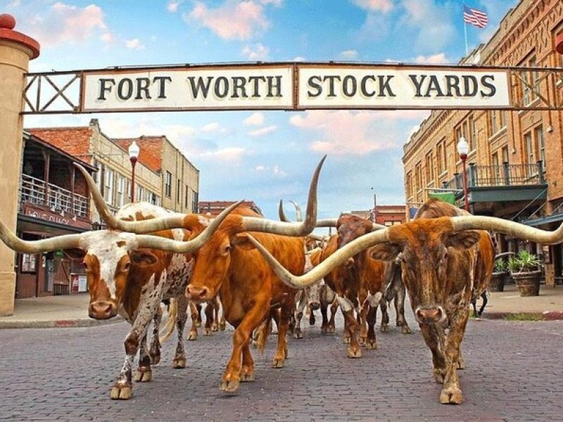 Fort Worth Highlights & Southfork Ranch Combo Tour