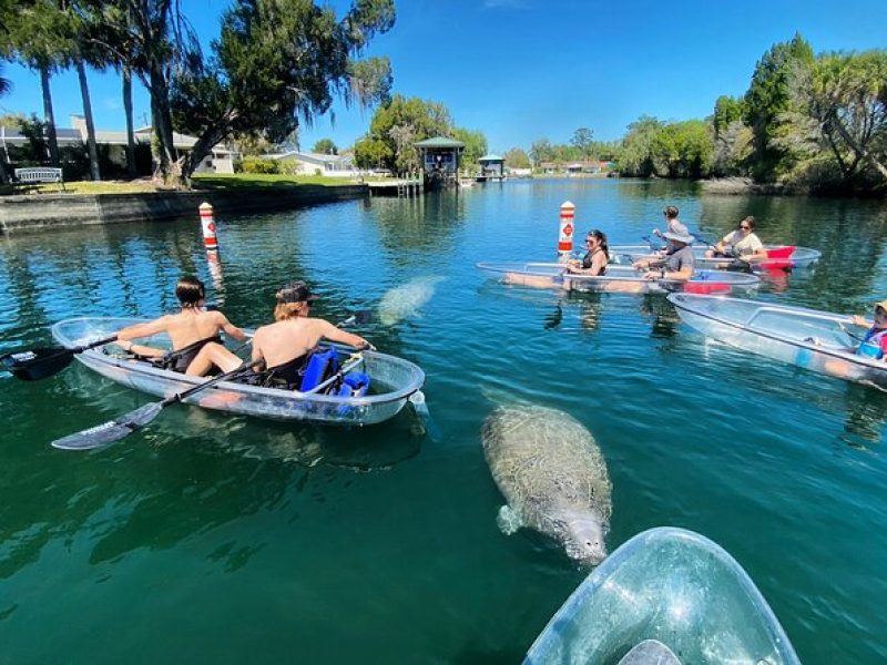 Clear Kayak Tour of Crystal River