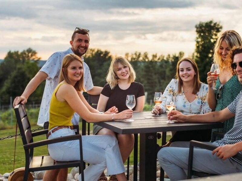 5-Hour Traverse City Wine Tour: 3 Wineries on Leelanau Peninsula