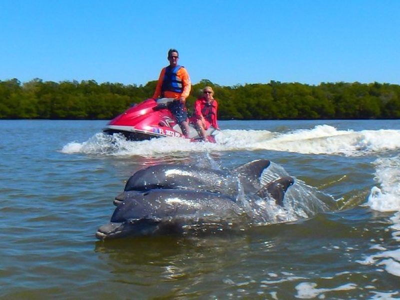 Avi's Premium Dolphin Tour by Jet Ski