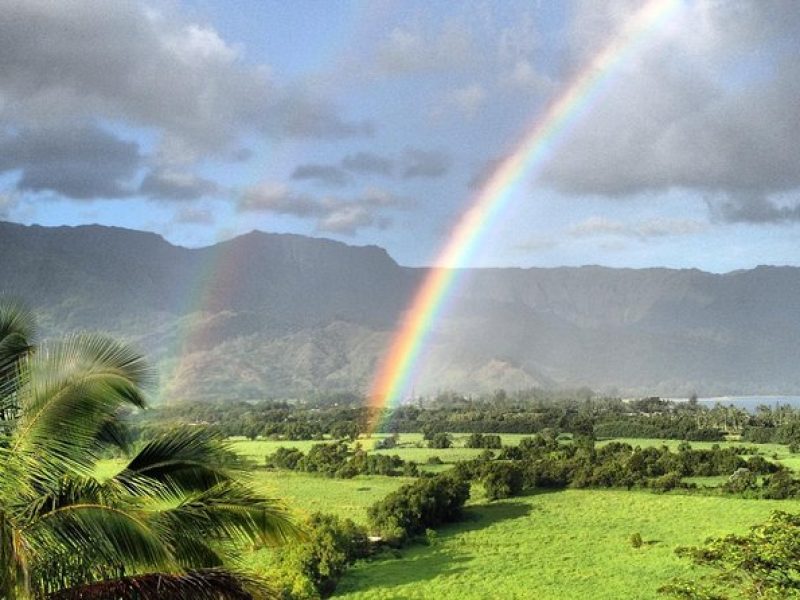 Kauai East Side and North Shore Private Guided Tour