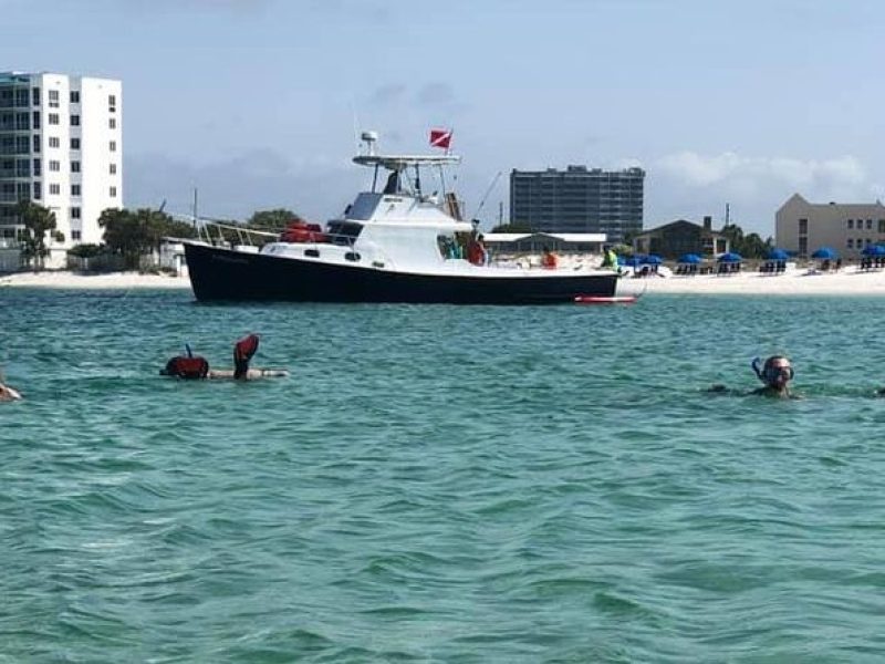 Private Large Group Snorkeling and Shelling Excursion