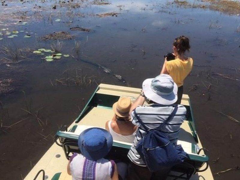 Private 1-Hour Airboat Tour of Miami Everglades