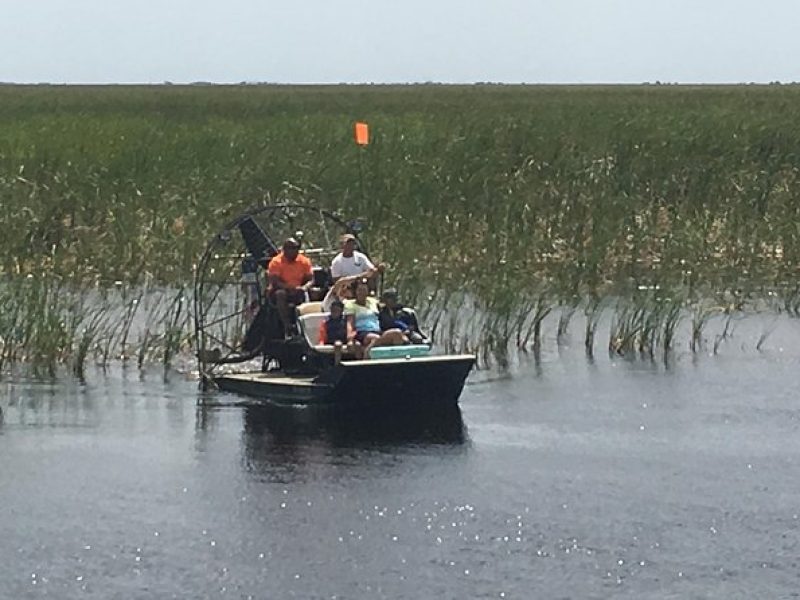 Private 1.5-Hour Airboat Tour of Miami Everglades