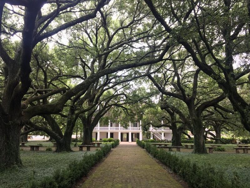 Whitney Plantation Private Tour With Round-Trip Transportation