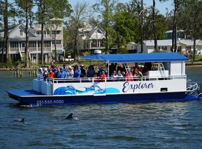 2-Hour Dolphin and Nature Eco Tour from Orange Beach