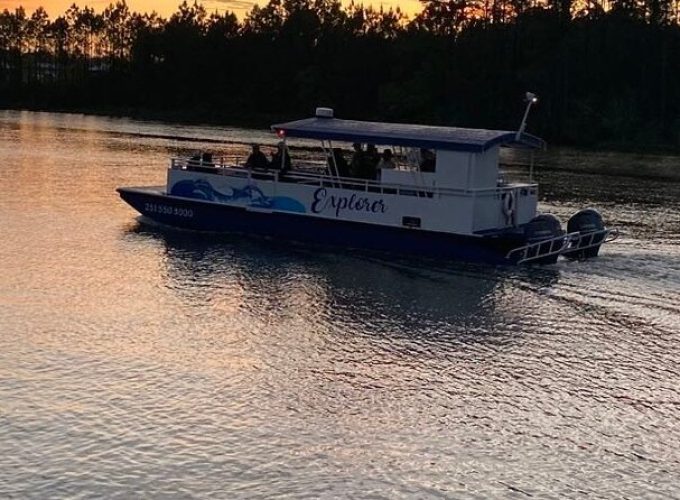 Dolphin and Nature Sunset Cruise from Orange Beach