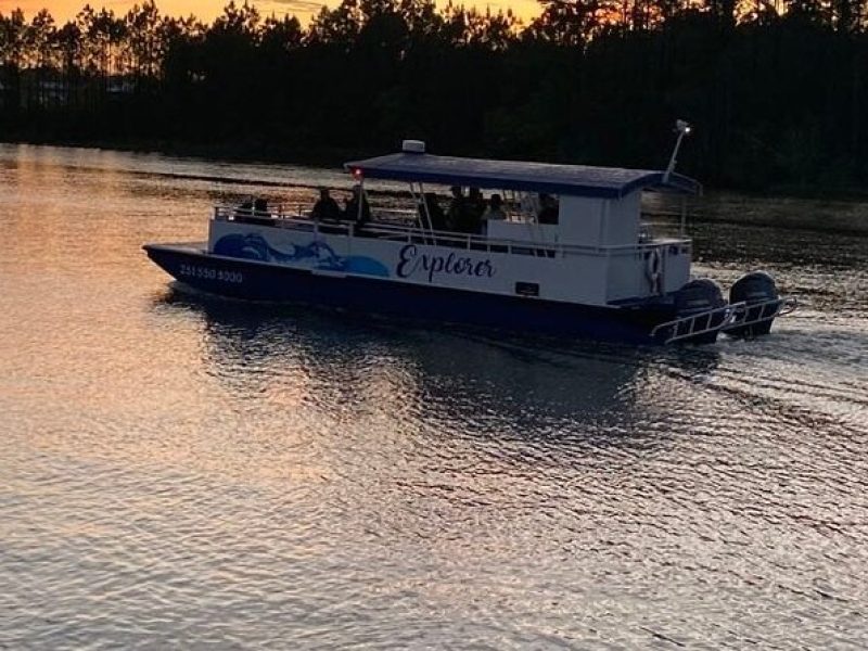 Dolphin and Nature Sunset Cruise from Orange Beach