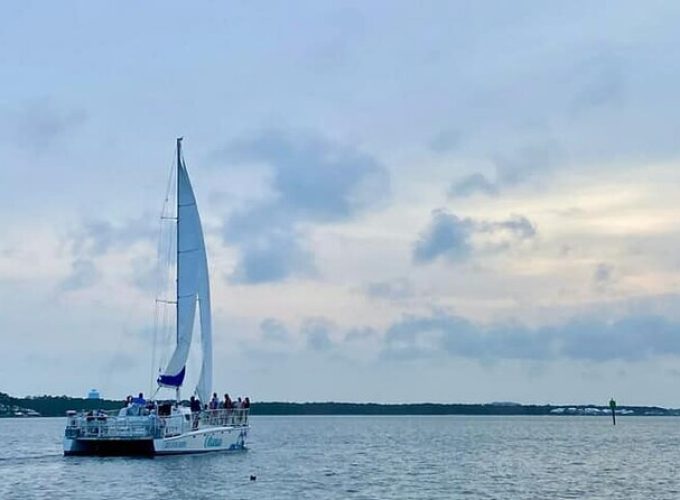 Orange Beach Sun and Sailing Cruise aboard Catamaran