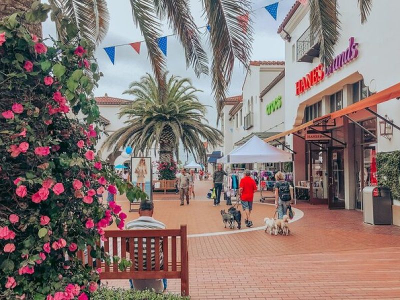 Private Shopping Tour from San Diego to Outlets at San Clemente