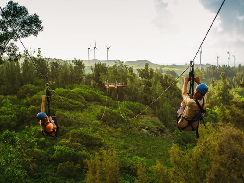 8-Line Zipline Adventure on Oahu's North Shore