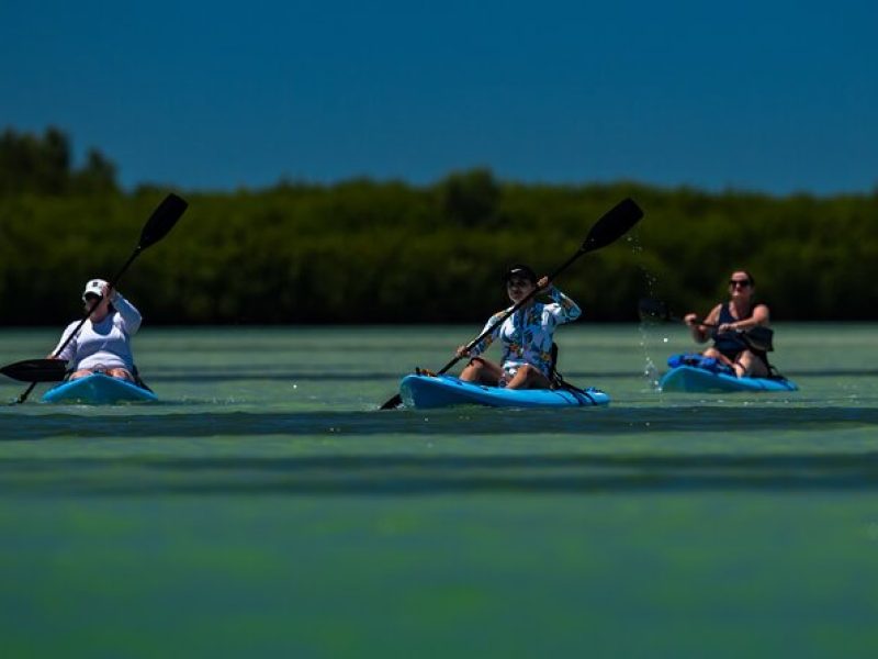 Kayak Tour at Shell Key with Capt Yak