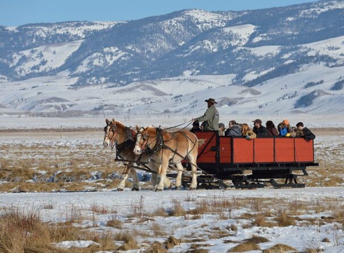 Private Winter Tour of Grand Teton National Park & Sleigh Ride