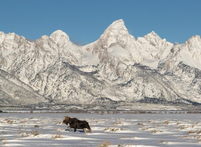 Private All-Day Winter Tour of Grand Teton National Park