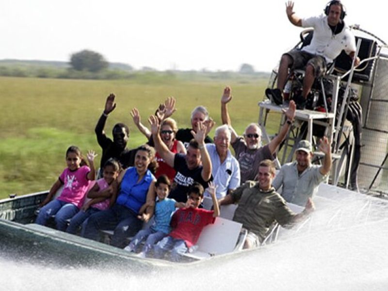 Everglades Air Boat Ride + Alligator Show.