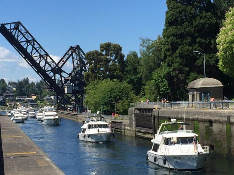 Seattle Ballard Locks, Gas Works Park and Houseboats Tour