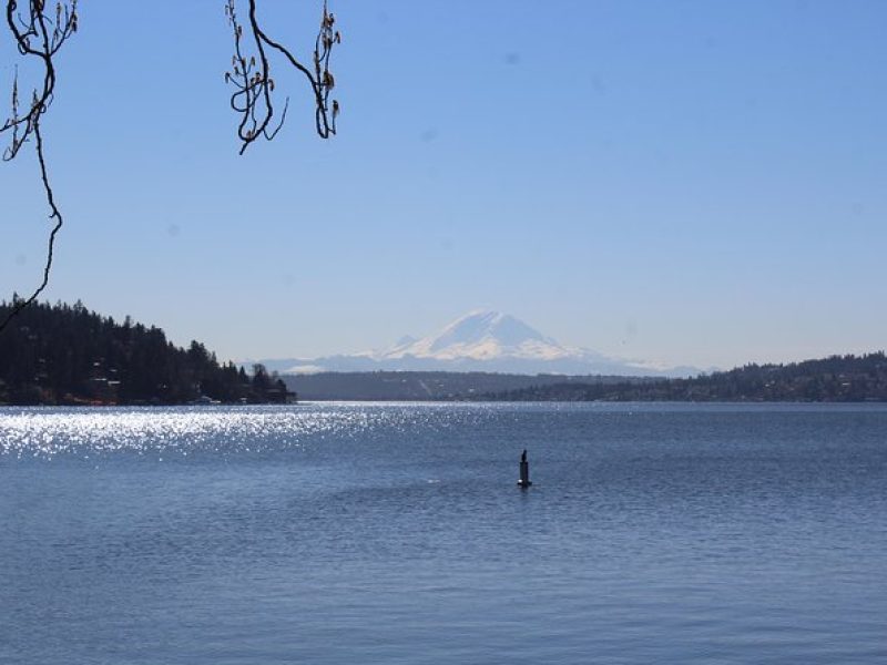 Lake, Old Growth Trees and Columbia City: Beautiful Natural Spaces and History