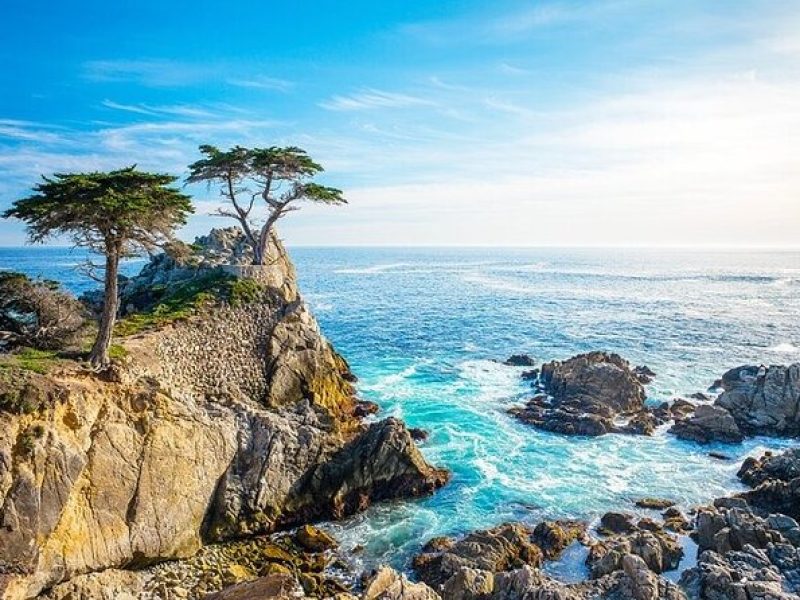 17-Mile Drive,Carmel & Monterey Day Trip from San Francisco