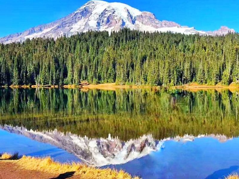 2-Day Mount Rainier & Olympic National Parks Tour from Seattle