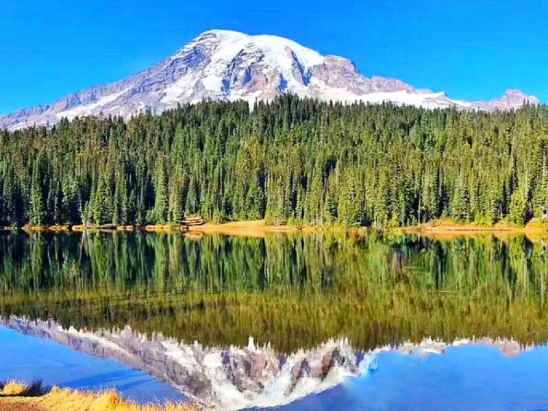 Mount Rainier National Park Day Tour from Seattle