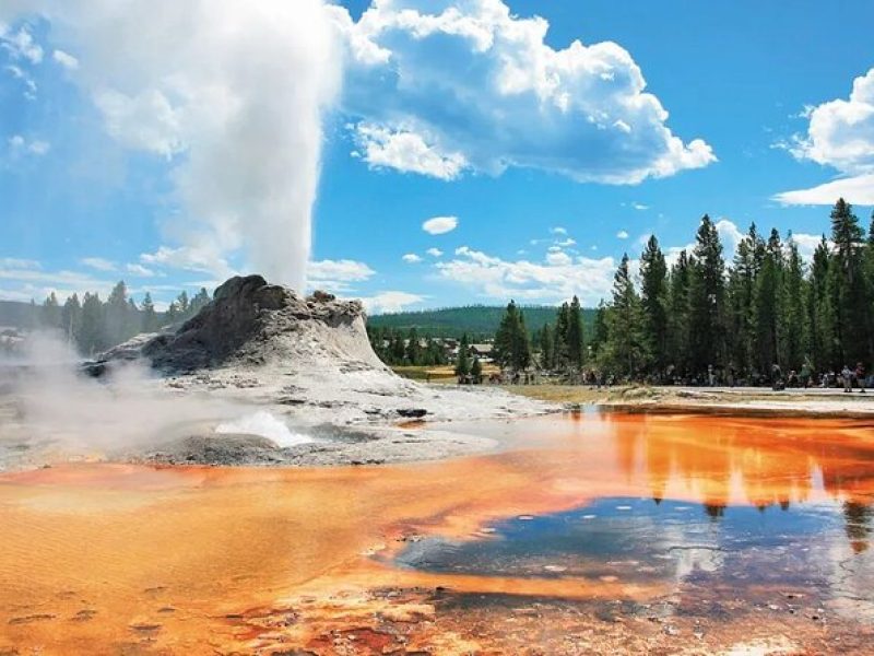 Yellowstone National Parks 3 Day Tour from Salt Lake City